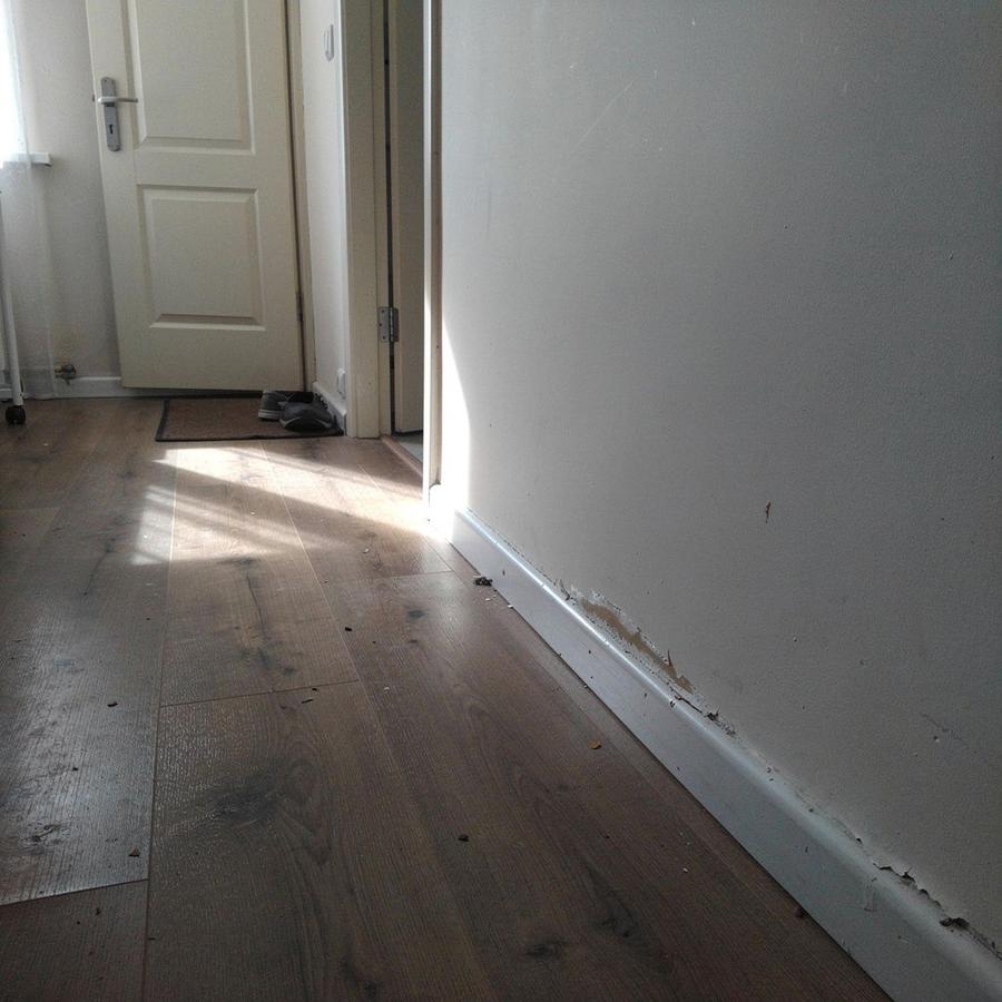 Entry hall of a short-term rental apartment photographed during a condition check, with a scuffed wall beside the door frame